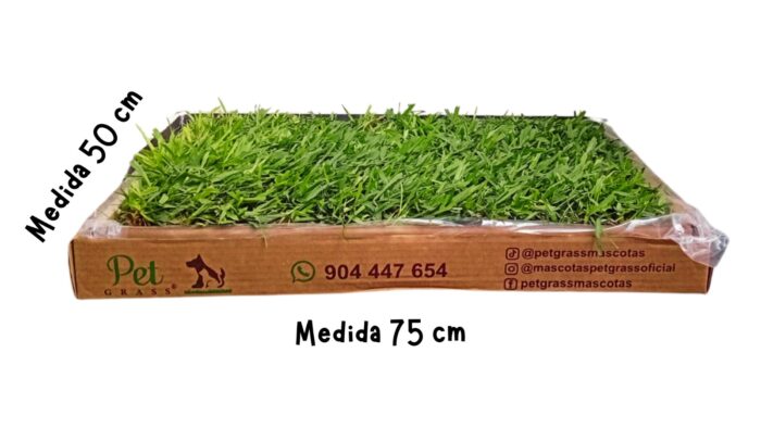 PET GRASS Standard