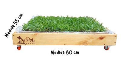 maderas Pack PET GRASS BOX Standard con ruedas
