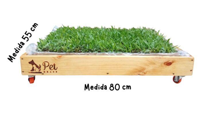 Pack PET GRASS BOX Standard con ruedas