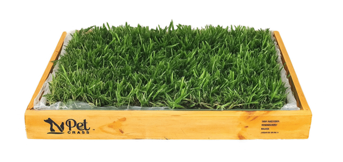 Pack PET GRASS BOX Standard