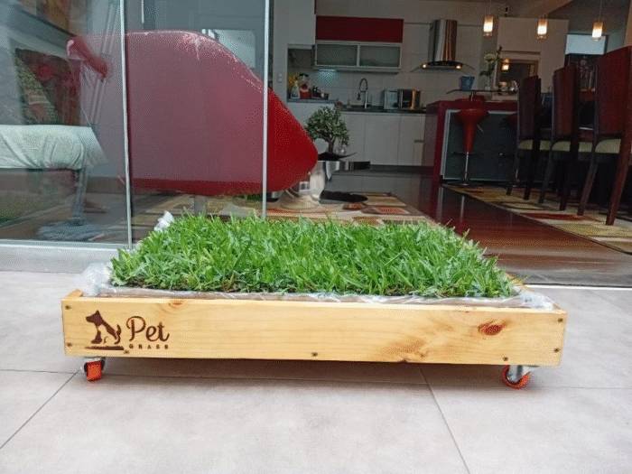 Pack PET GRASS BOX Standard con ruedas
