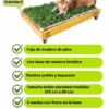 5c09f623-fed9-451d-a1f9-7b3b1051df55 PACK PET GRASS BOX doble standard