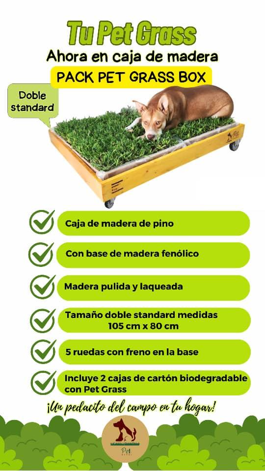 5c09f623-fed9-451d-a1f9-7b3b1051df55 PACK PET GRASS BOX doble standard