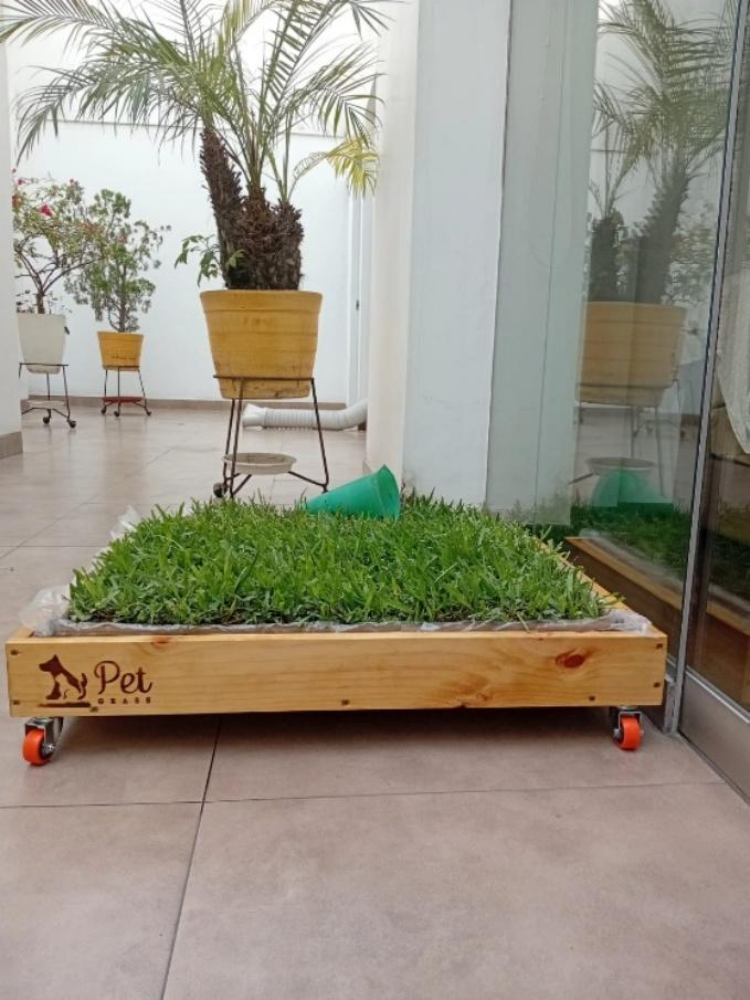 Pack PET GRASS BOX Standard con ruedas