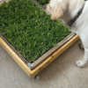75018dcd-31a1-49b6-afb7-6dd148421039 PACK PET GRASS BOX doble standard