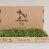 DSC07984edit PET GRASS Standard
