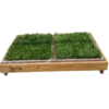 Diseño sin título (4) PACK PET GRASS BOX doble standard