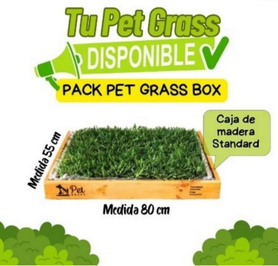 Pack PET GRASS BOX Standard