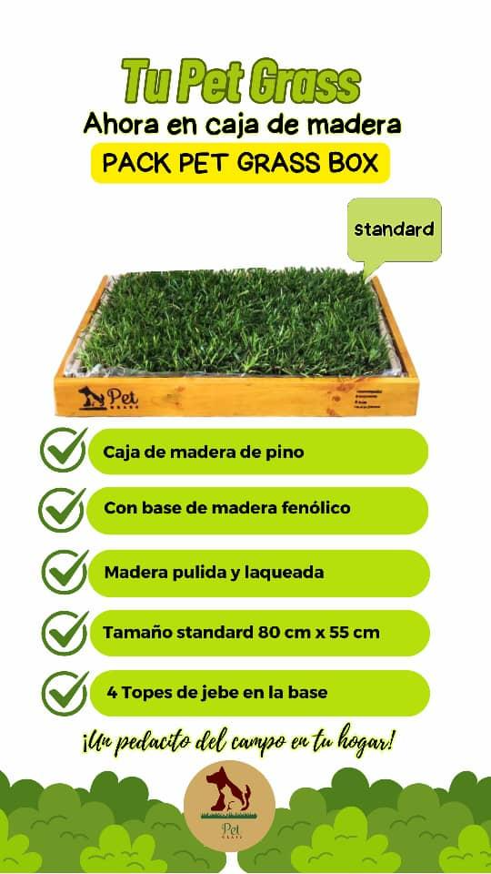 Pack PET GRASS BOX Standard